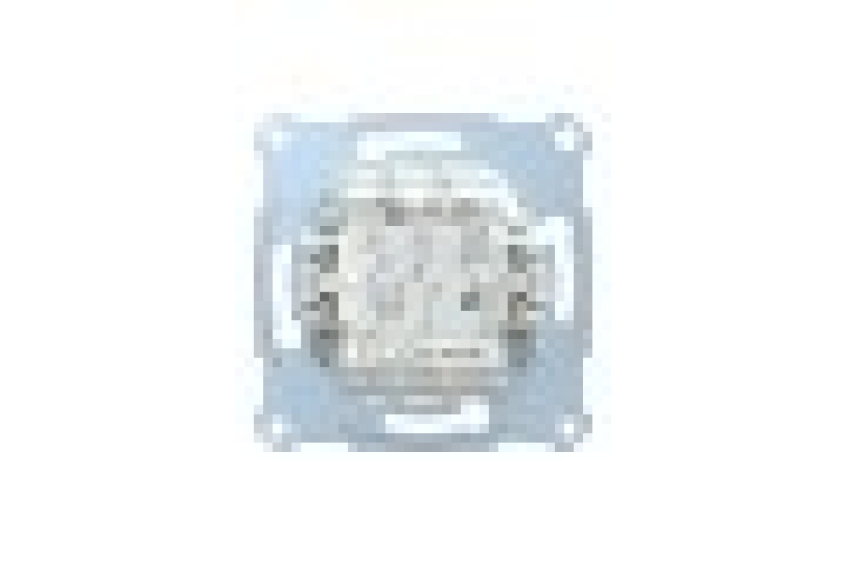 Механізм з клавішою і кнопкою перемикання на 2 напруги (MTN3128-0000)