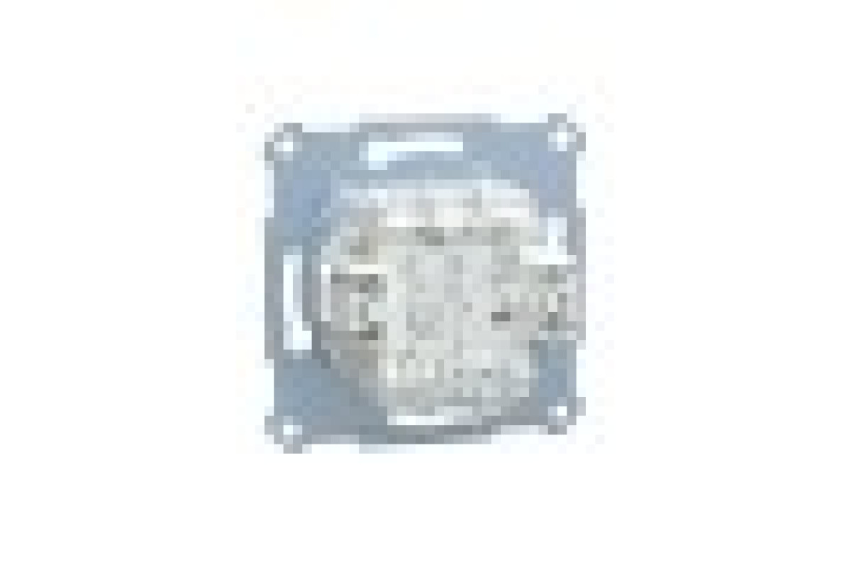 Механізм з клавішою і кнопкою перемикання на 2 напруги (MTN3128-0000)