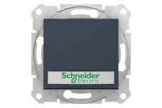 Кнопочный выключатель Sedna Scnheider Electric с подсветкой и полем для маркировки графита (SDN1600370)