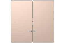 D-Life Клавиша 2-я для LED Шампань (MTN3420-6051)
