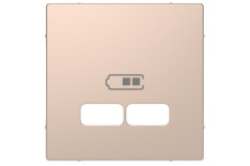 D-Life Центральная накладка USB Шампань (MTN4367-6051)