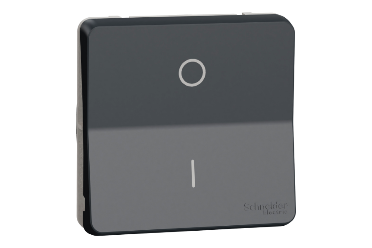 Механизм переключателя 2-полюсного IP55 Mureva Styl, черный (MUR35034)