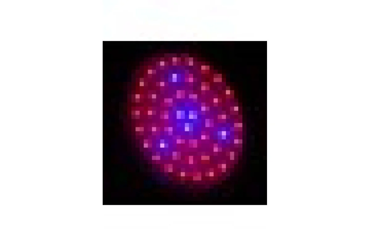 Бра LED фито для растений LED-46/50W 50 pcs IP20 GROW (L137-004)