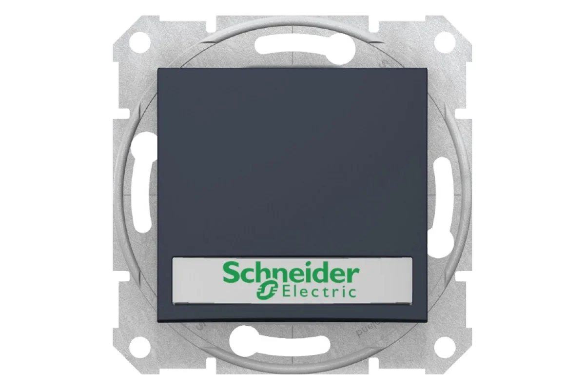 Кнопочный выключатель Sedna Scnheider Electric с подсветкой и полем для маркировки графита (SDN1600370)