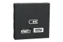 Двойная USB розетка A+C антрацит (NU301854)