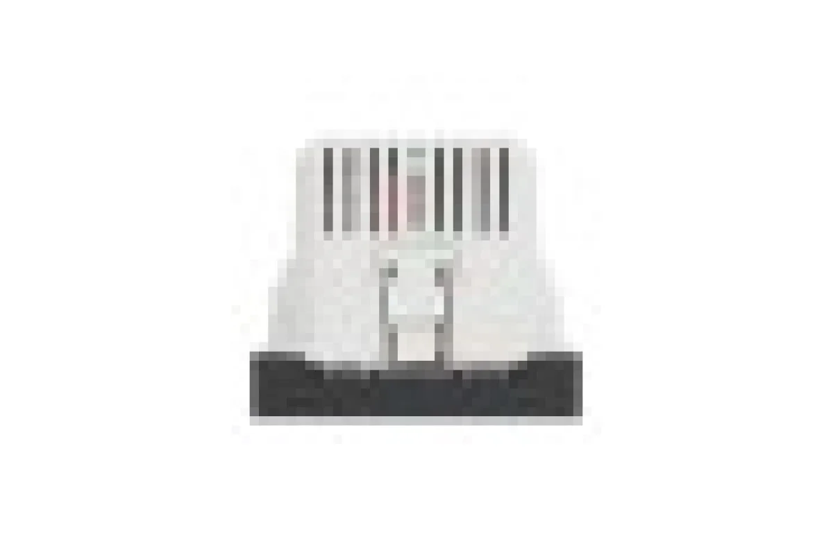 Двойная USB розетка A+C антрацит (NU301854)