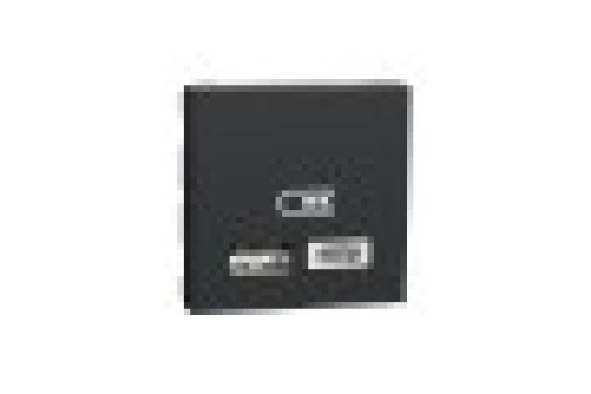 Двойная USB розетка A+C антрацит (NU301854)