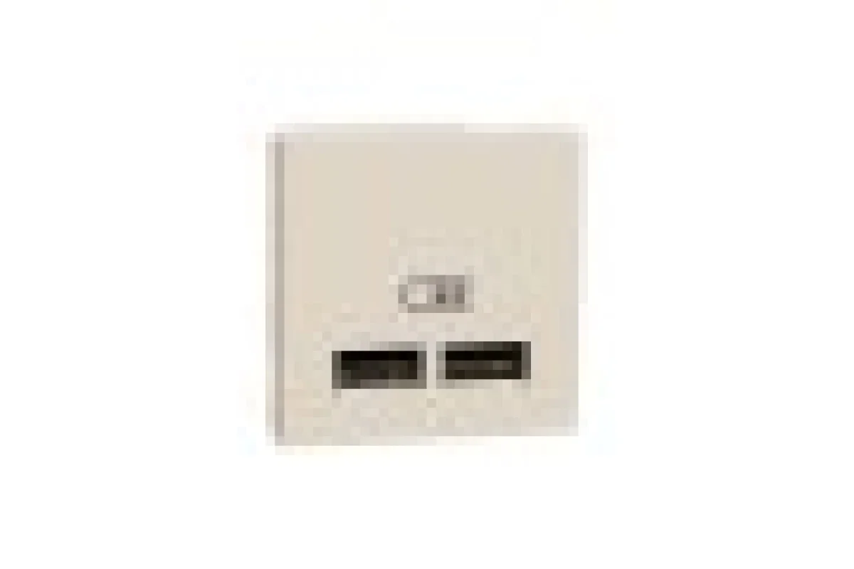 Розетка USB подвійна, 2.1А, 2 модулі, бежева Unica New Studio (NU341844)