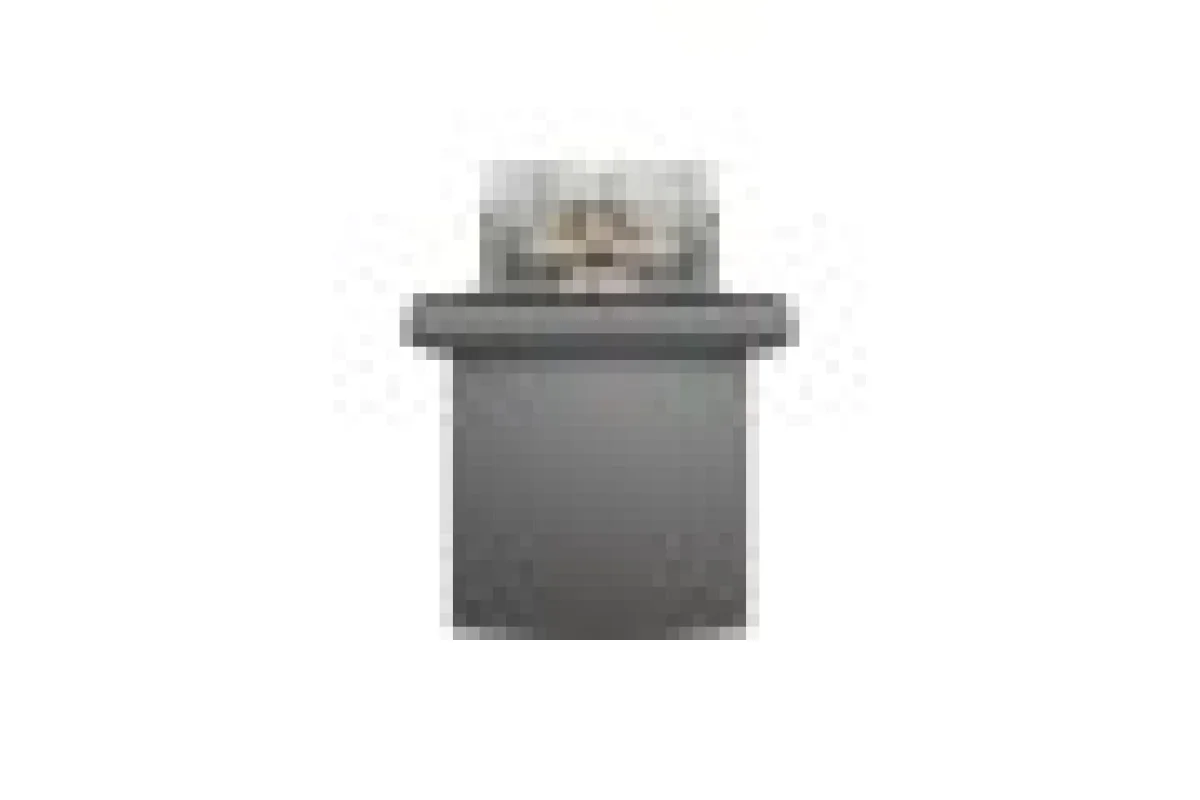 Розетка IP44 з кришкою, з заземленням, з захисними шторками, Антрацит Asfora (EPH3100371)