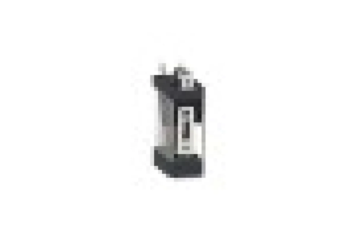 Реле управления - Zelio RXG - 1C/O стандарт - DC 12V - 10A - без LTB (RXG13JD)