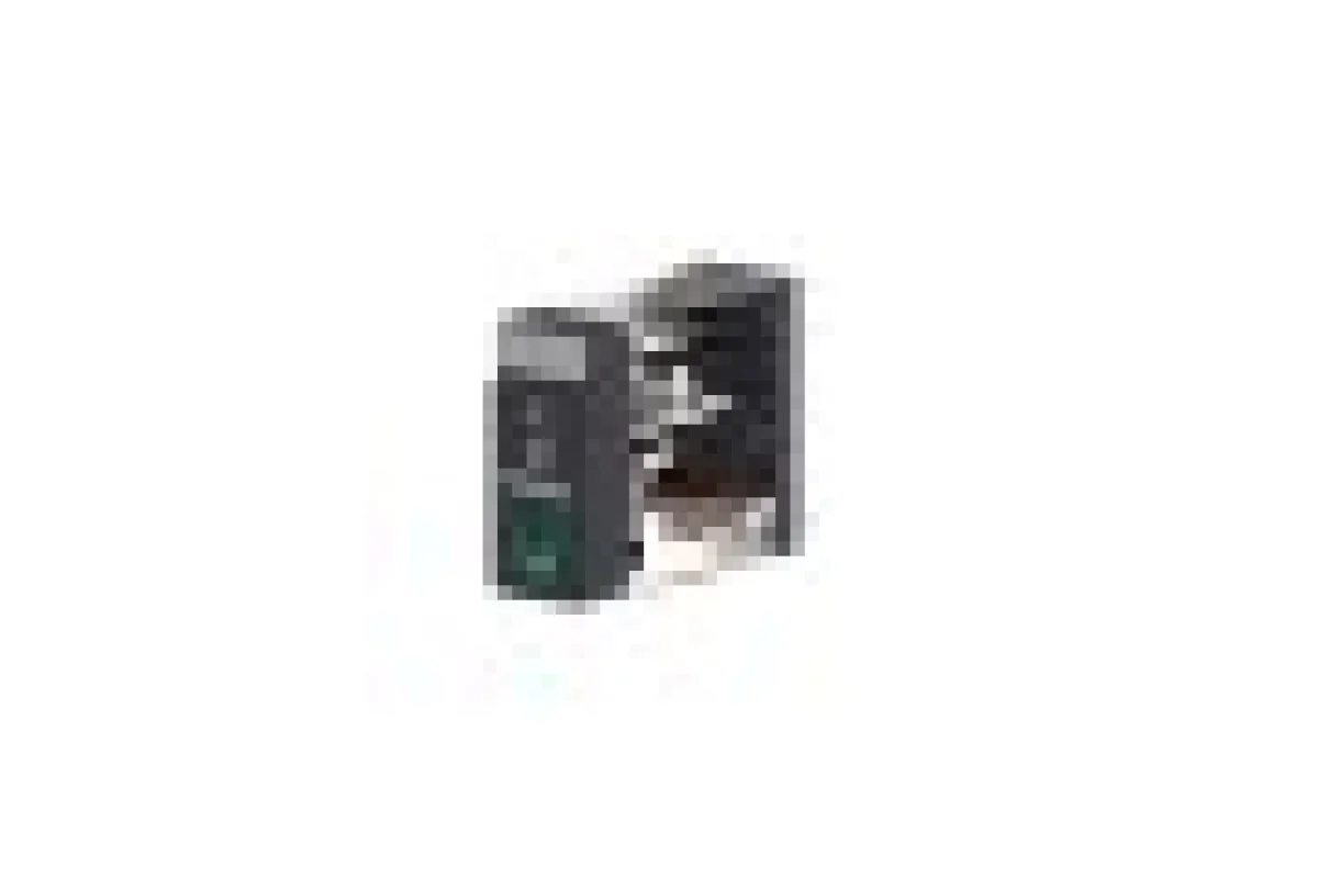 Реле управления - Zelio RXG - 2 C/O стандарт - 110 V DC - 5 A - с LED (RXG22FD)