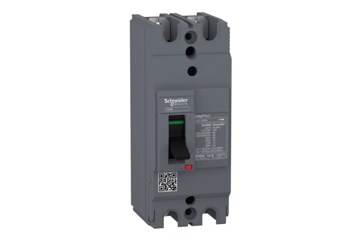 Автоматичний вимикач в литому корпусі EasyPact EZC100H 2P2T 30кА/415В 40A (EZC100H2040)