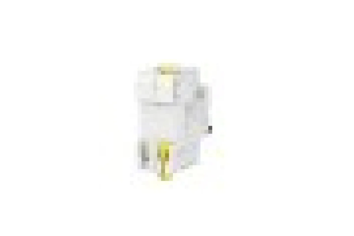 Автоматический выключатель iC60N 2P 40A C (A9F79240)