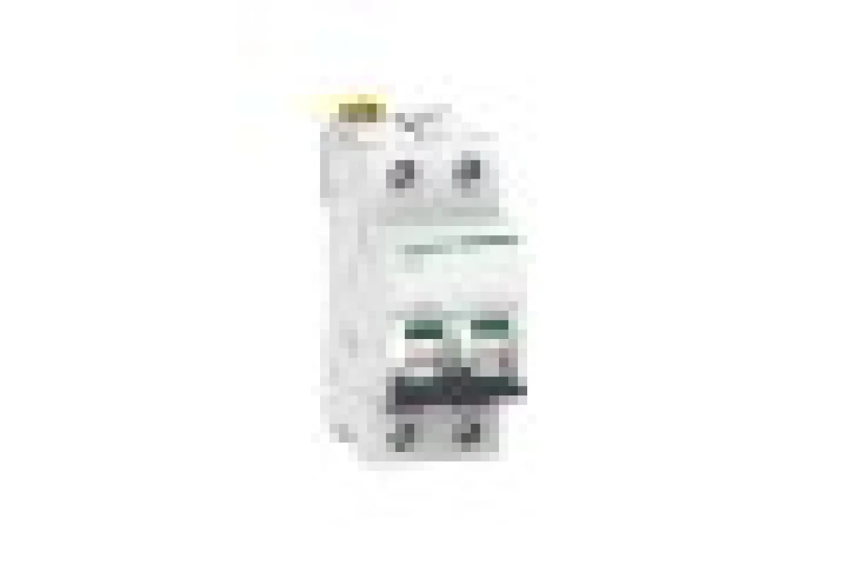 Автоматический выключатель iC60N 2P 40A C (A9F79240)