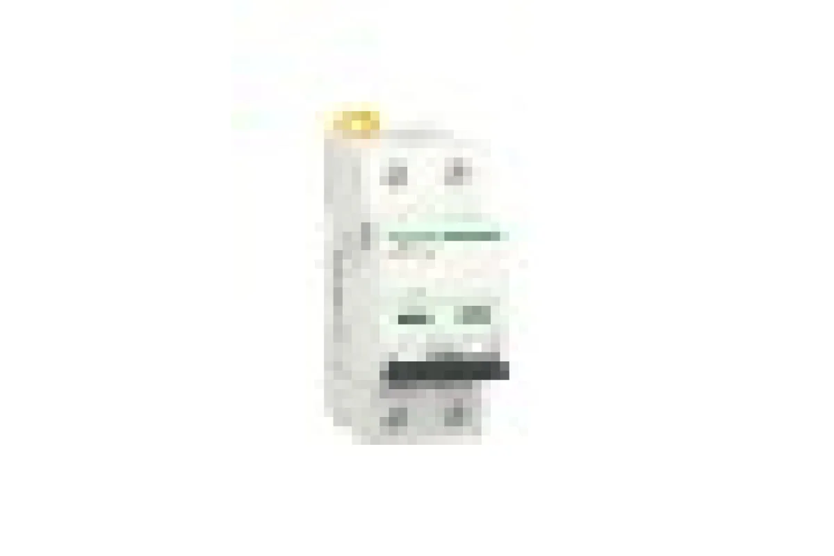Автоматический выключатель Acti9 IK60N, 2P, 63A, кривая C (A9K24263)